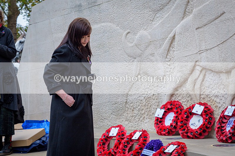 NGP_8273 - 2024 Animals in War Remembrance Gathering