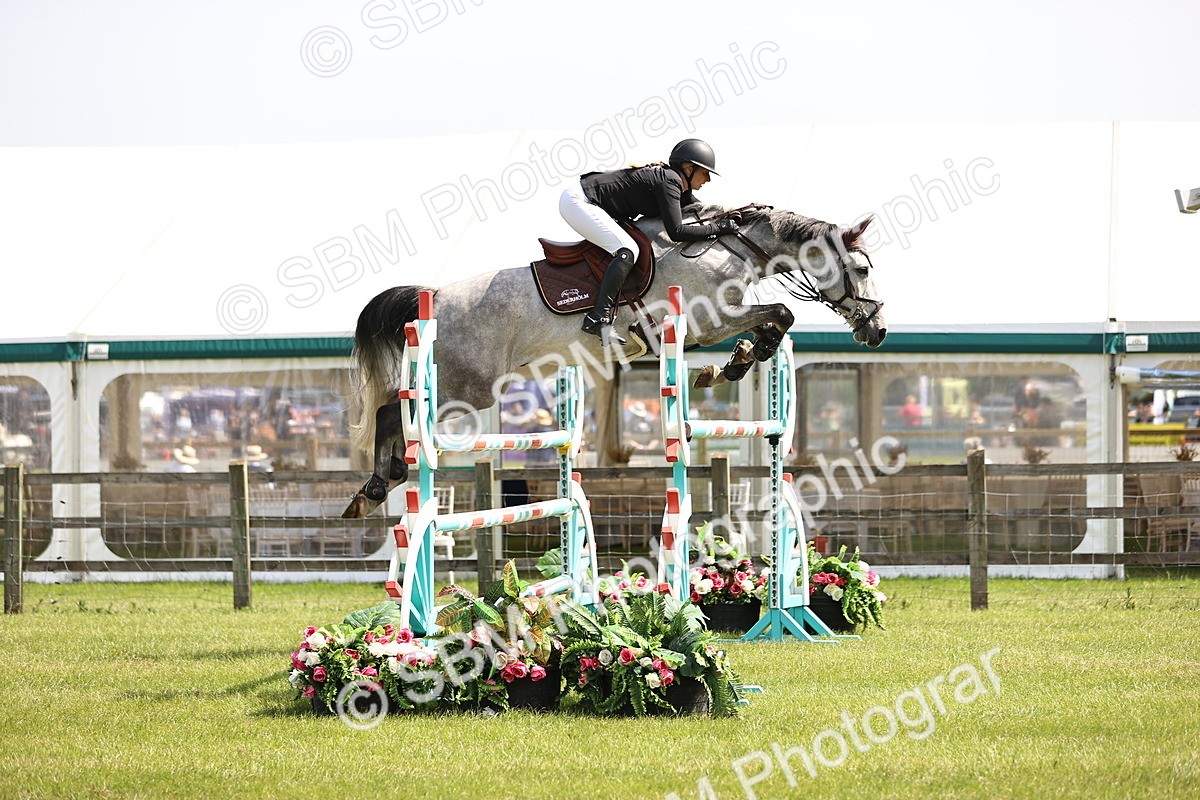 SBM_03180 - Class 201 - British Horse Feedds Speedi Beet HOYS Grade C