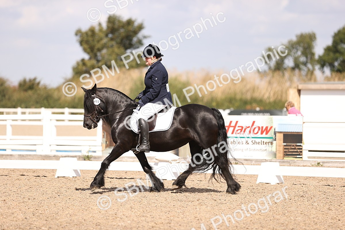 SBM_03693 - CLass 35 Intro 3