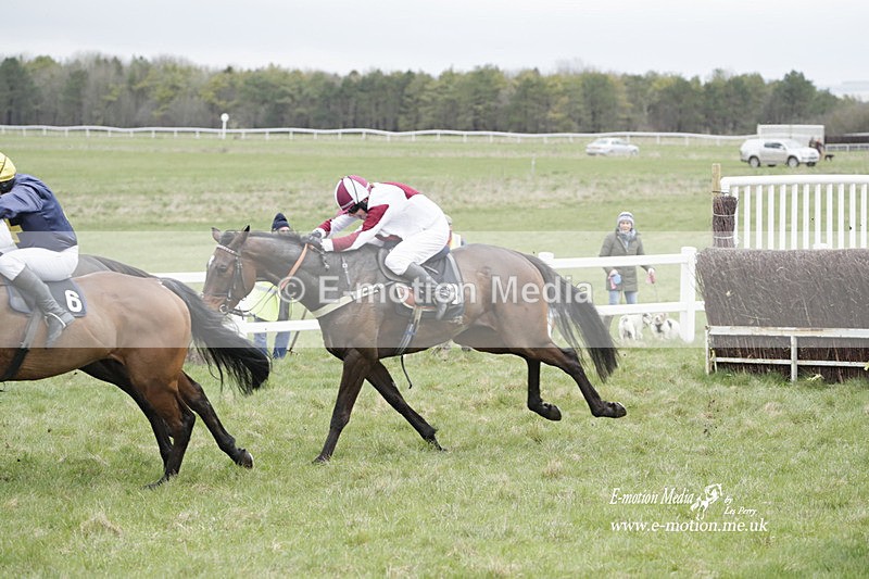 PtP 260323 0506 - New Forest Hounds Point-to-Point Larkhill 26/03/23