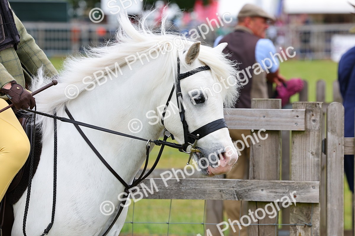 SBM_08446 - Class 42-43 - LIHS BSPS Heritage Working Sports Pony