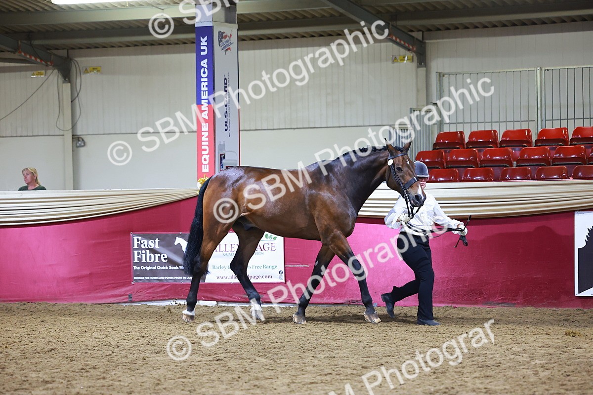 SBM_15513 - Class R - Veteran Champ