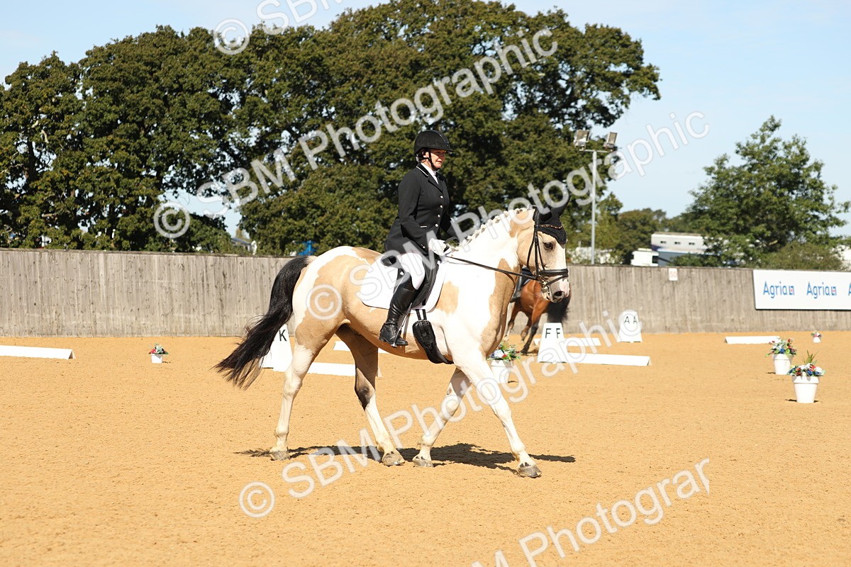 SBM_19655 - D10 - Small Tour Championship - Prelim 2