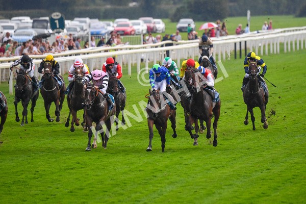 100923-Race 6-Anjo Bonita-1053 - Race 6 4.25pm Hanson Springs 60th Anniversary Handicap at York