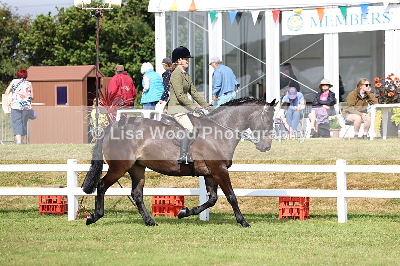 3E7A8873 - Class 3: Rising Star S/L Hunter