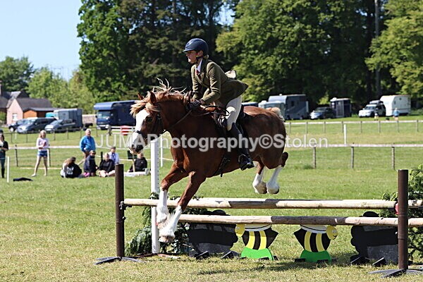 IMG_4350 - Working Hunter