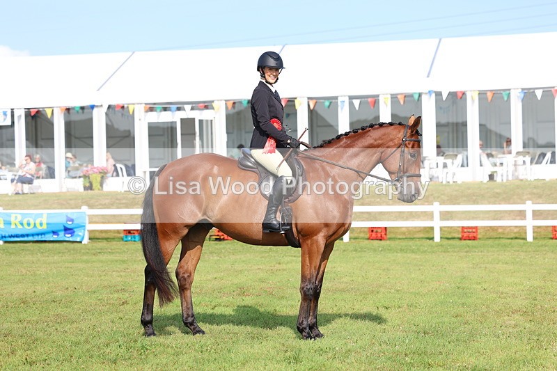 3E7A8387 - Class 2: Rising Star Large Hack/Riding Horse