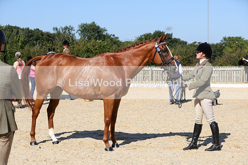 1X9A7929 - Class 10:Riding Horse