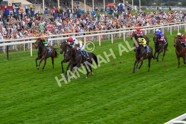 100923-Race 5-Commanche Falls-0879 - Race 5 3.50pm BetGoodwin Garrowby Stakes