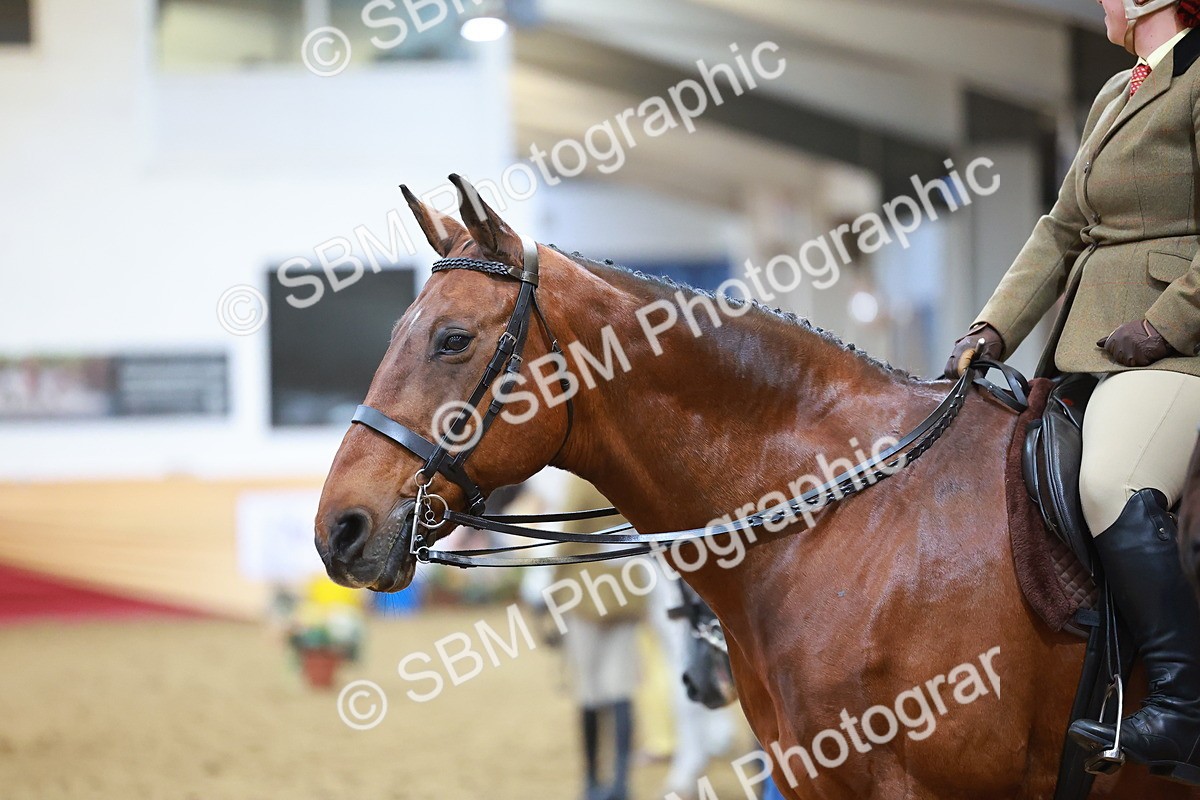 SBM_09490 - Class 102 - HOYS Veteran Qualifier - Ridden Veteran