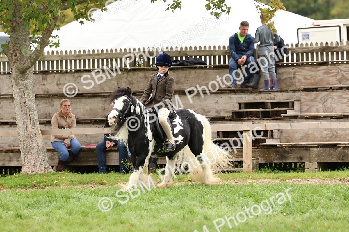 SBM_64532 - S58 - Coloured Pony Ridden
