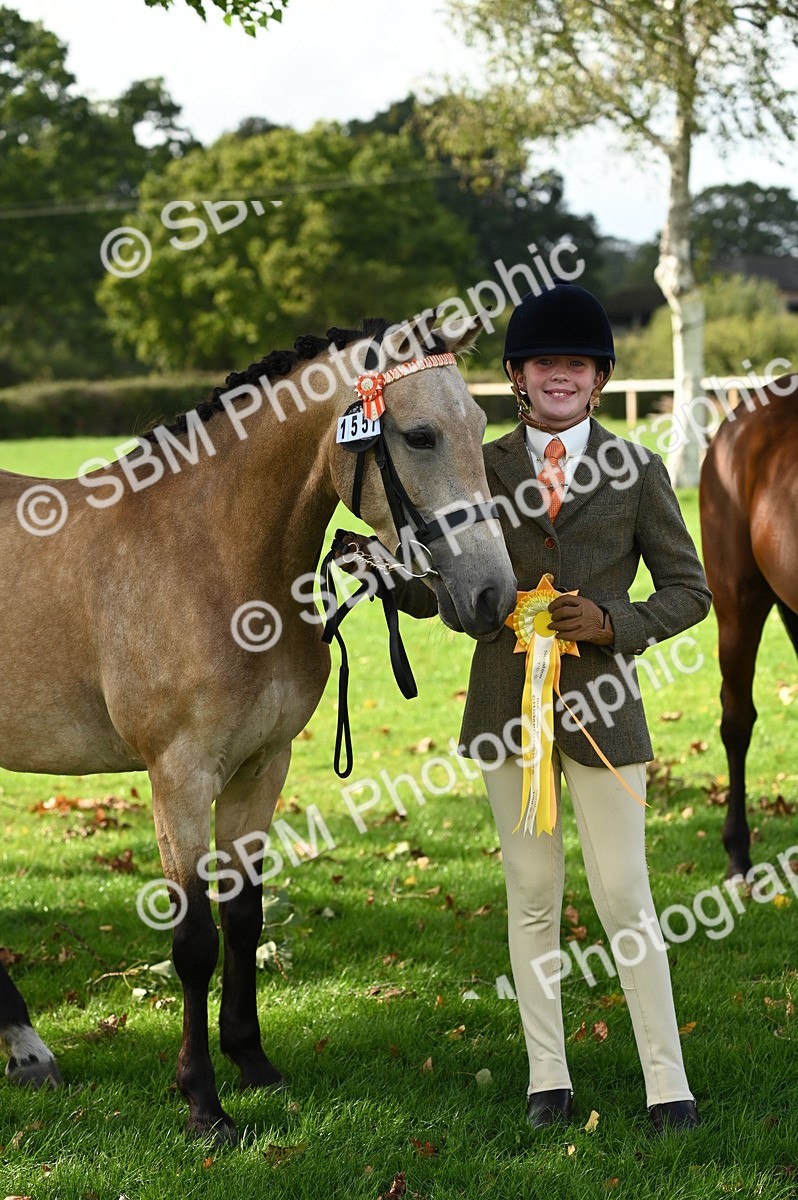 SBM_25061 - S5 - Novice & Newcomer In hand