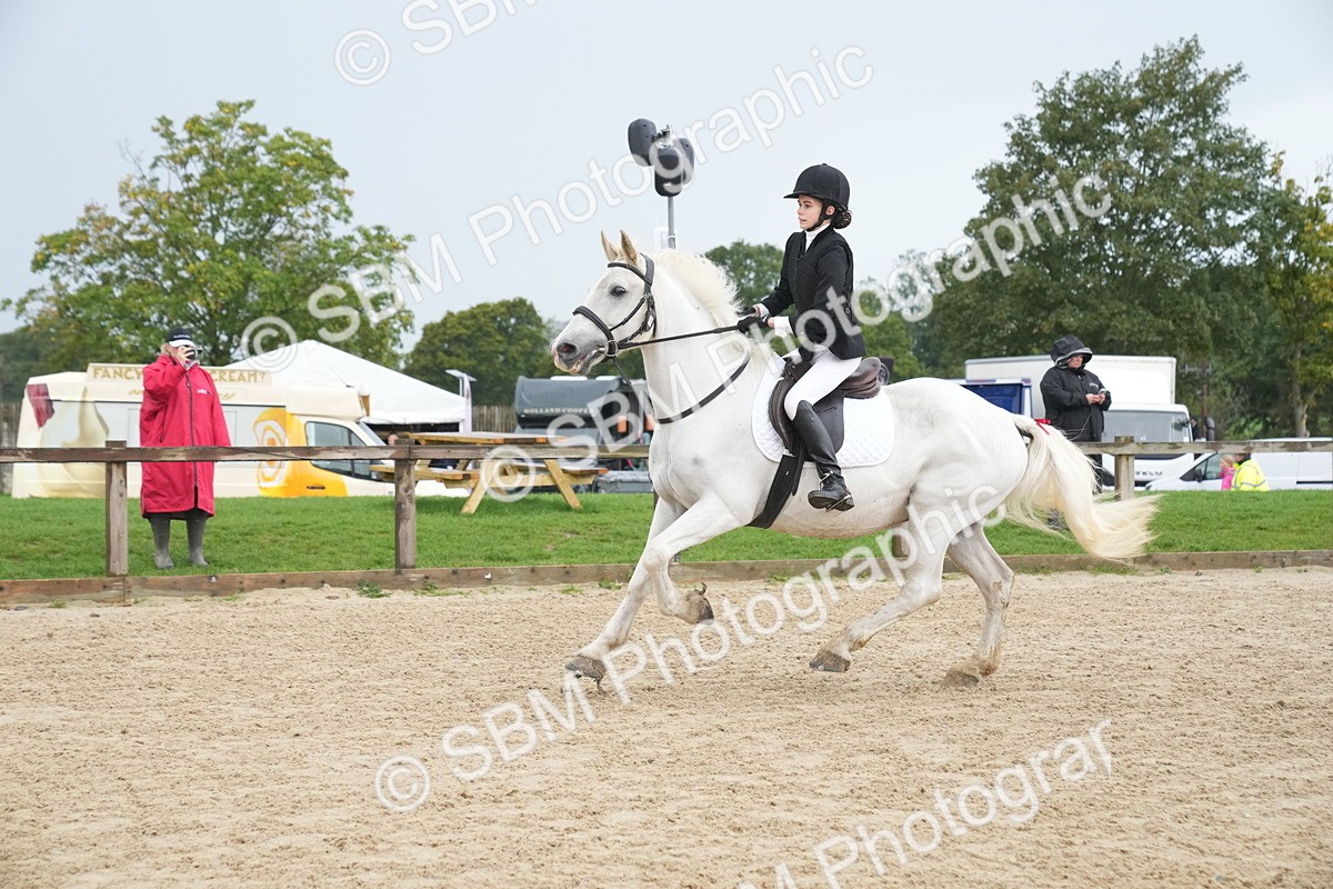 SBM_01510 - J54 - Clear Round 50cm