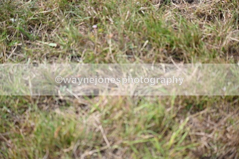 WJ6_5828 - Time 09:46 to 10:26