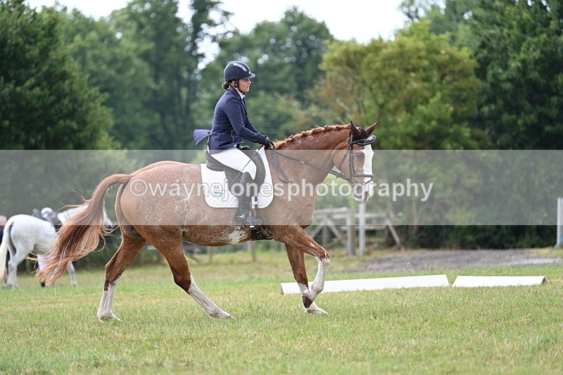 WJ7_5879 - Time 11:52 to 12:10