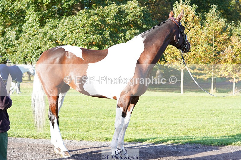 241026-095954-11531 - 004-Claire.Deuten-FOXRIDGE.HIGH.JINX