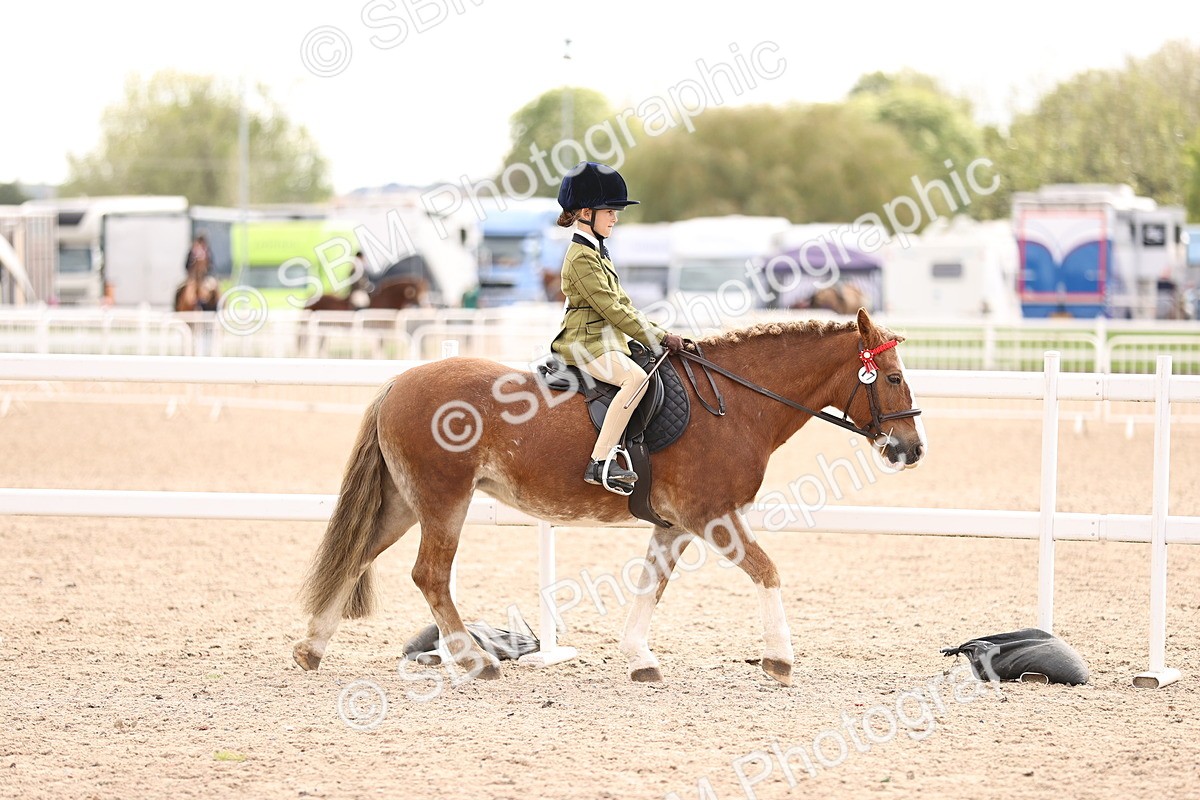 SBM_16125 - Class 420 - Horse-Pony Judge would most like to take home (IH or Ridden) Jnr