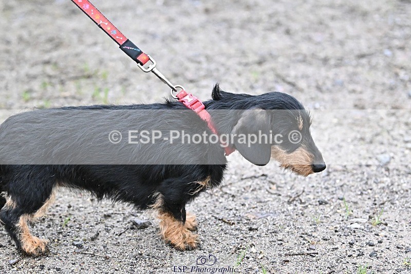 241206-144439-01154 - Naomi