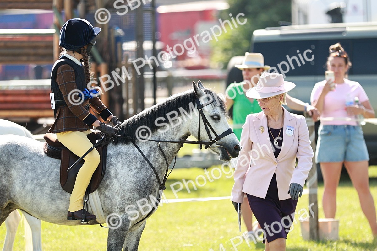 SBM_12646 - Class 106-107 - BSPS LIHS Working Sports Pony