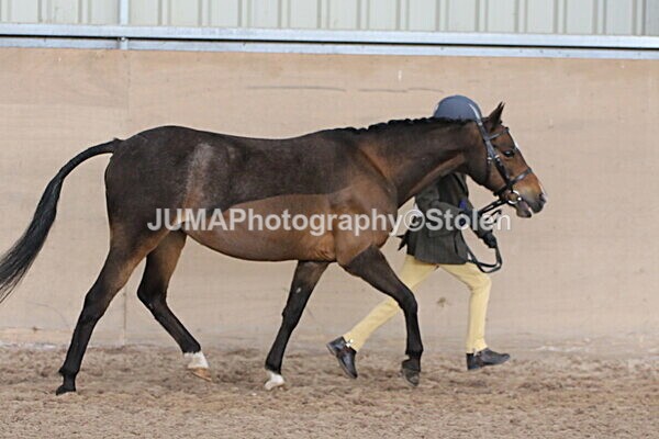 SIAL0375 - Indoor Classes