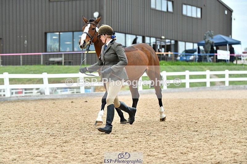 230416A-135456-04967 - Cls 60 Ridden Show Horse