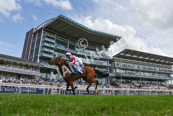 yr09072021r3-24 - Race 3 3.15pm William Hill Pick Your Places Irish EBF Novice Stakes