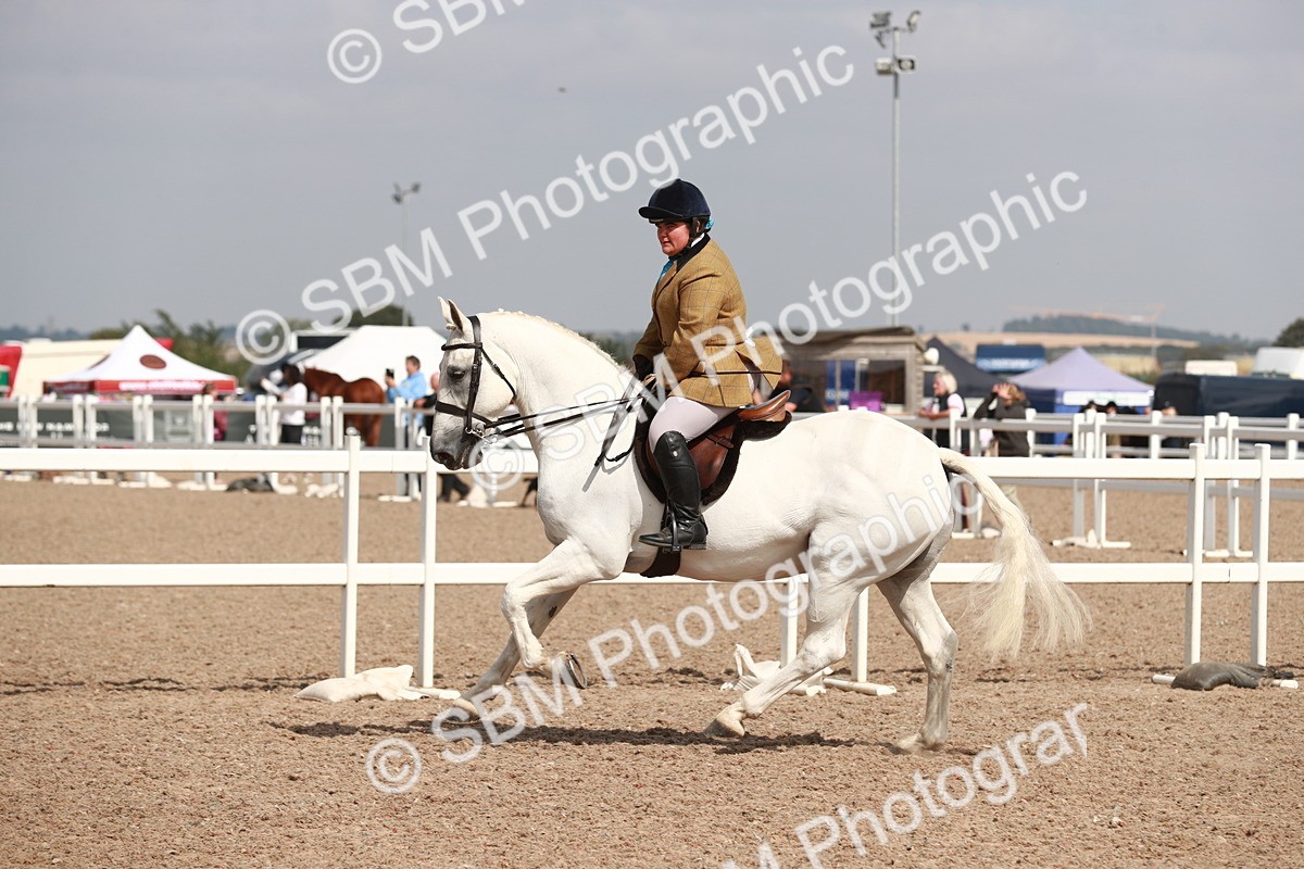 SBM_14859 - Class 212 Ridden Hunter - Small