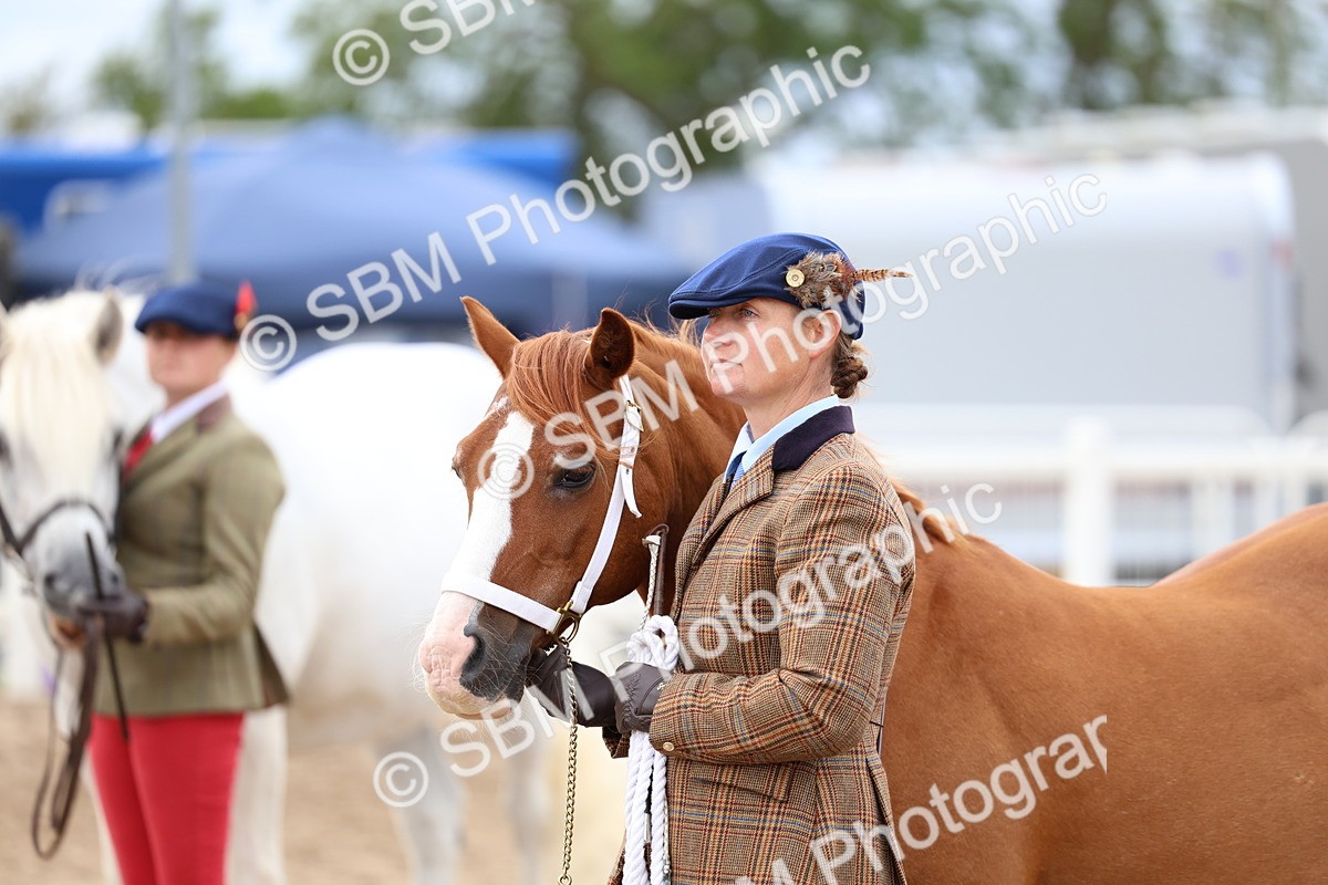 SBM_05928 - Class 29 - IH Veteran Pony