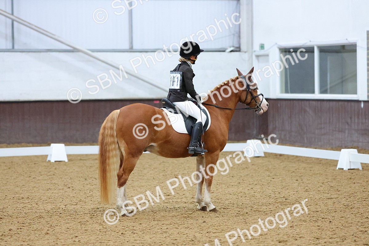 SBM_004212 - Intermediate