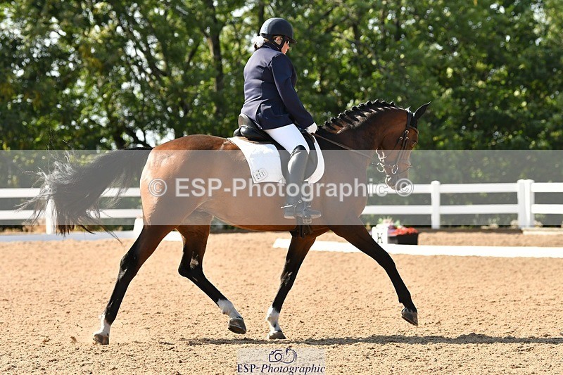 250817-155728-11417 - 211-Carey.CollettRubin's.Fanfare