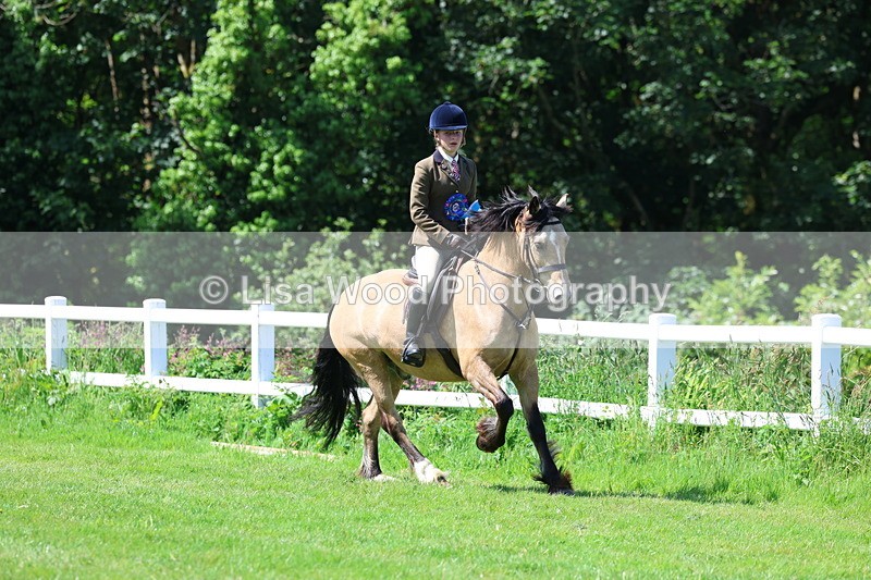 3E7A6739 - Working Hunter Pony Championship