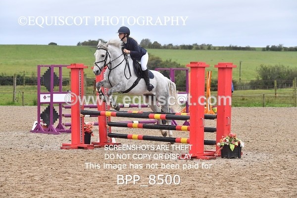 BPP_8500 - CLASS 3 Pony BritiNovice / 0.80m Open