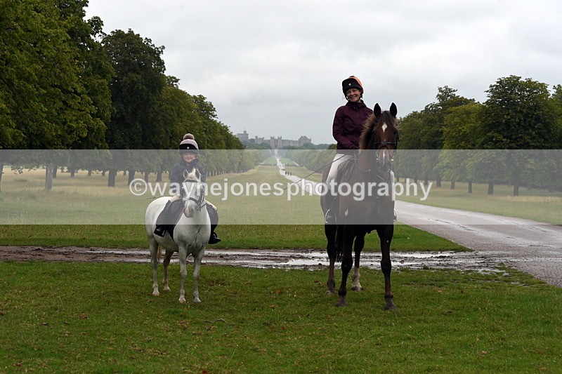 TT3_8094 - Time at Crossing 09:15 to 10:15