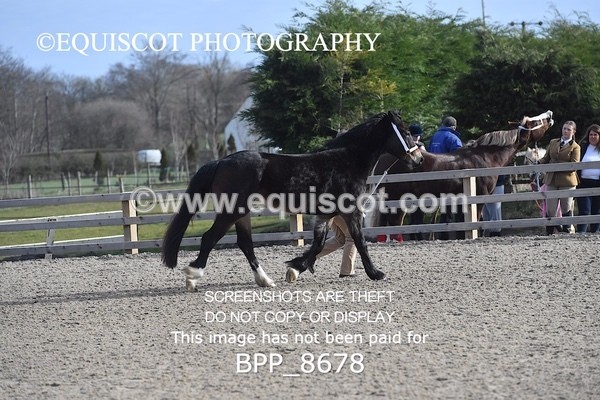 BPP_8678 - RING 2 - M&M