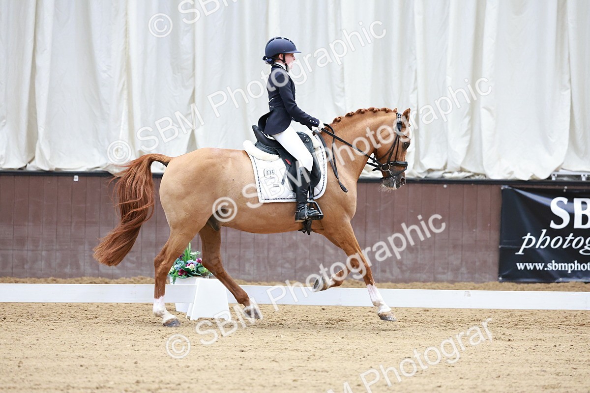 SBM_017086 - Class15 - FEI Pony