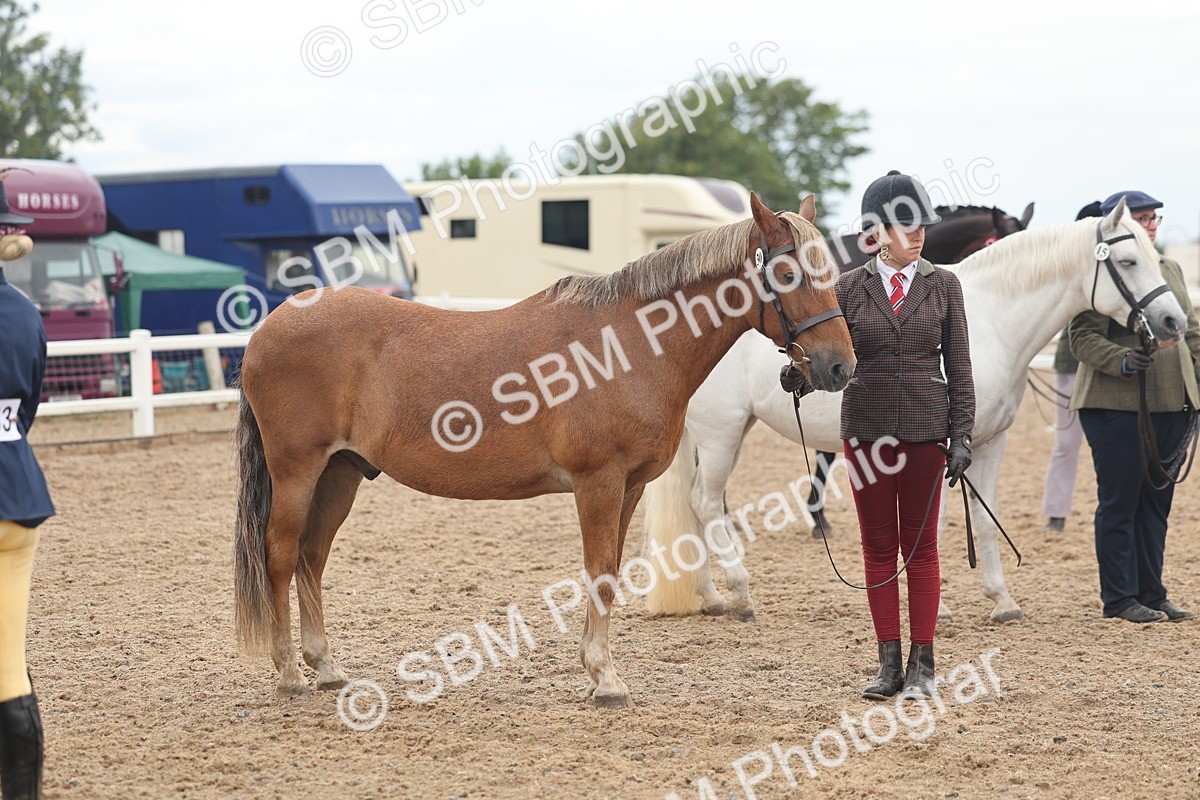 SBM_07806 - Class 27 - IH Competition Horse/Pony