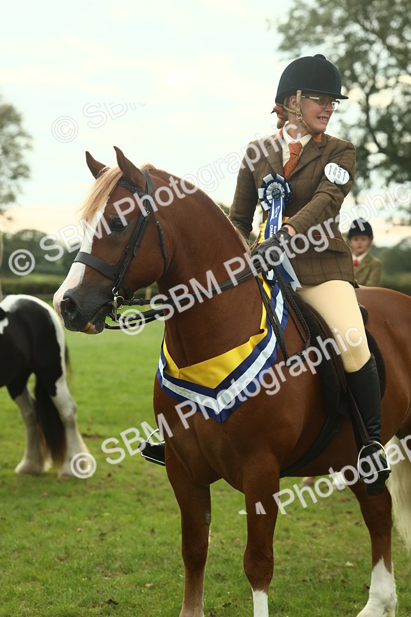 SBM_75115 - Ridden Pony Supreme Championship