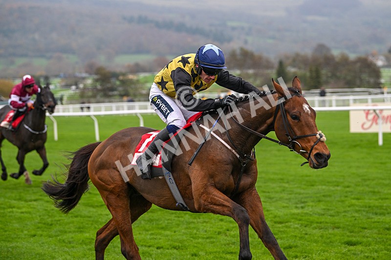 151124-Race 4-Fameaftertheglory-8271 - Race 4