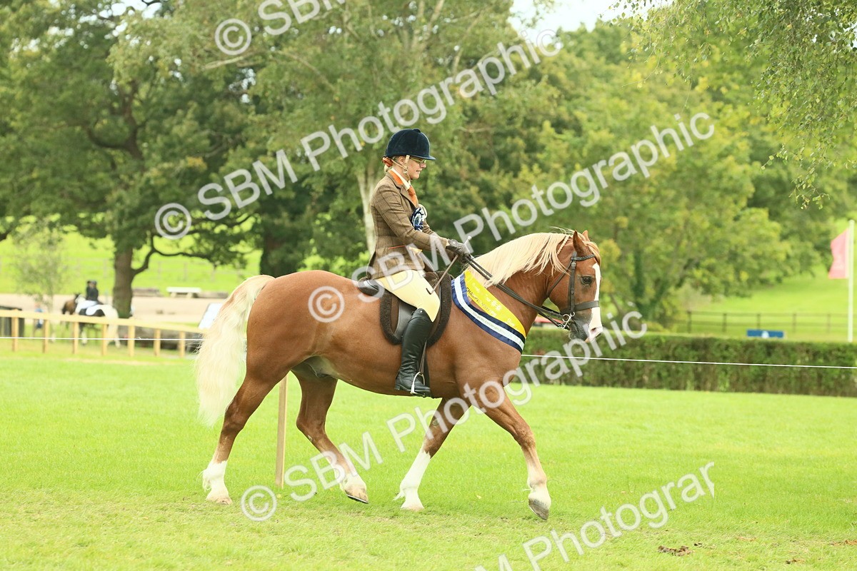 SBM_75124 - Ridden Pony Supreme Championship