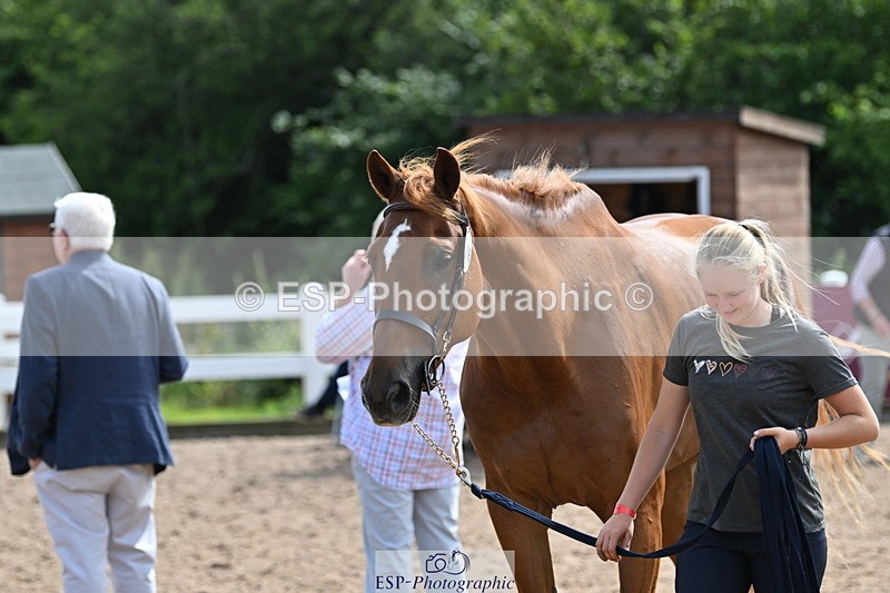 240717A-161254-03354 - Trot Up 4pm to 5pm