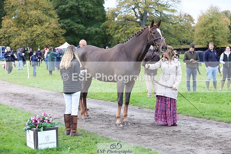 251026A-103539-23126 - F-433-Kathryn.Board