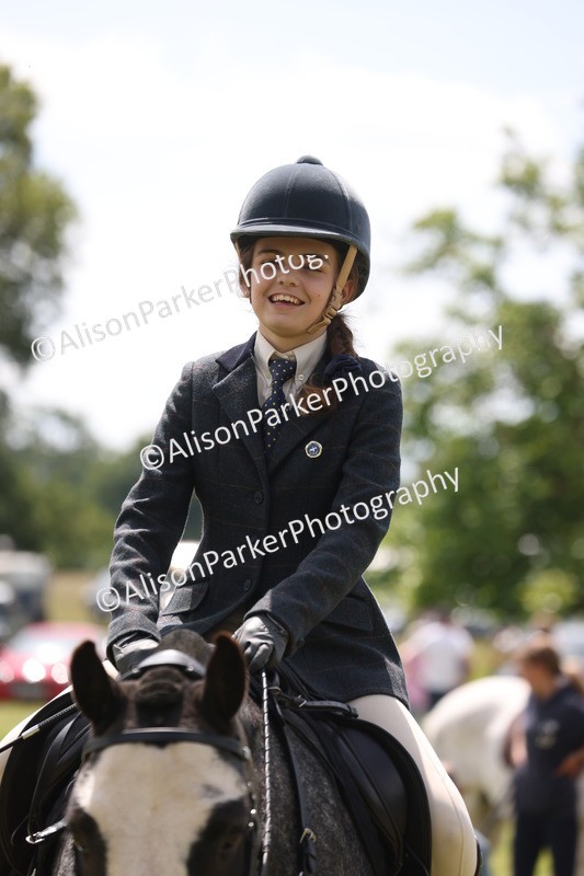 20260614-1958 - Class 21 - Novice Working Hunter Pony