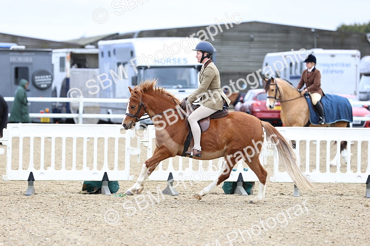 SBM_006820 - Class 29 - 30 - M&M Pure Novice Small-Large Breeds