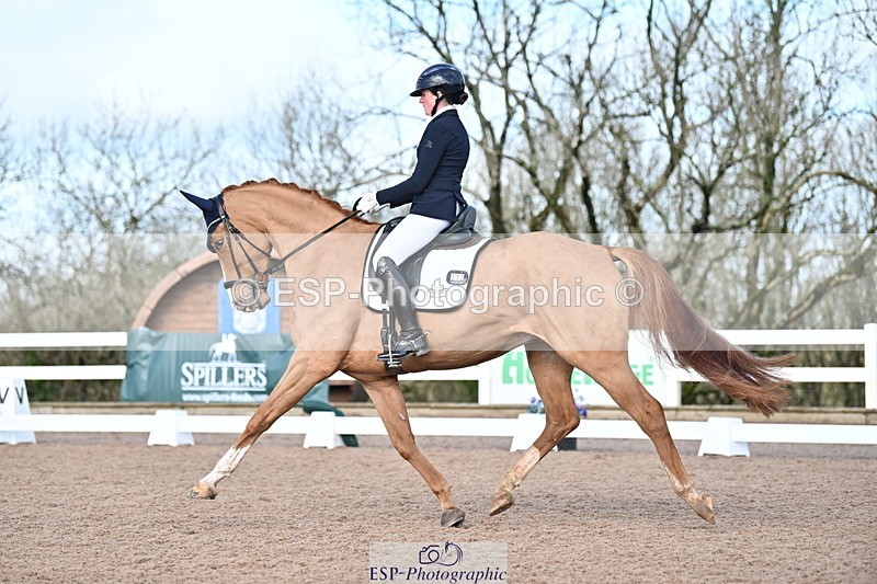 240218A-114159-06810 - 272-Beth.Bainbridge-Newton.Dreamcatcher