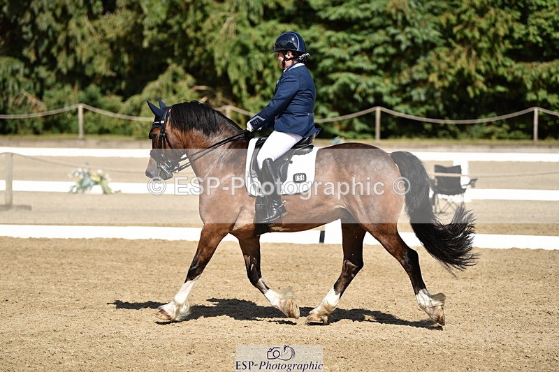 140110A-050834-12389 - 158-Alison.Crimp-Crwys.Beau