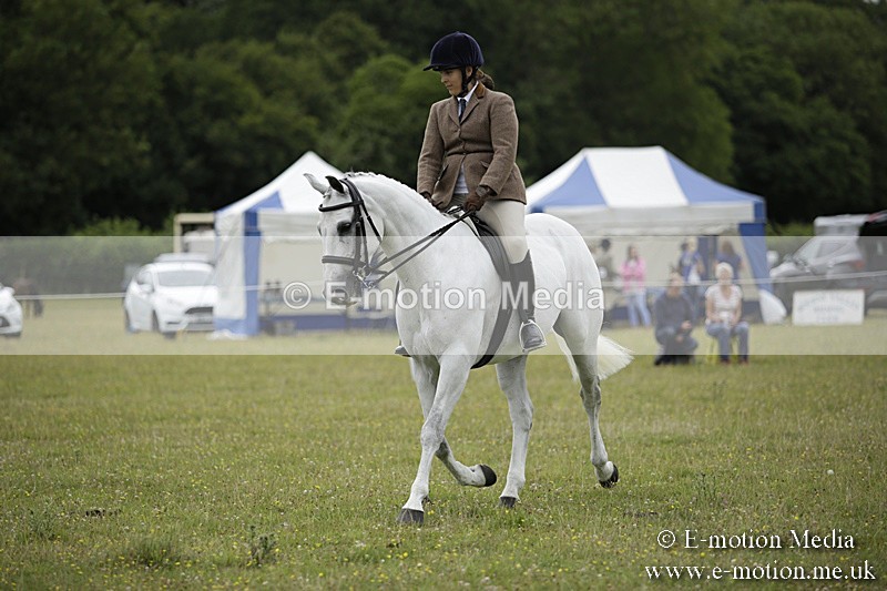 BVR160717-836 - Ring 1 BVRC Show 16/07/17