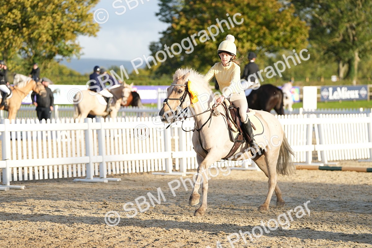 SBM_29548 - J44 - Horse & Hound Open 70cm