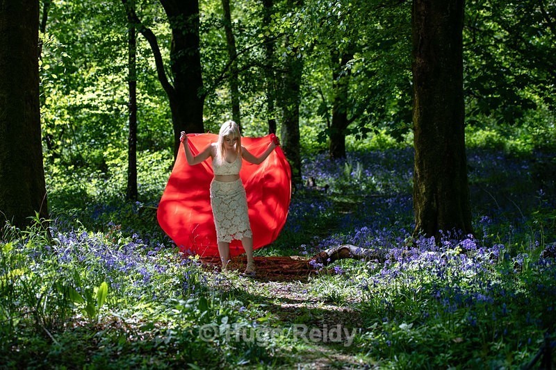  - Dalilah in Bluebells