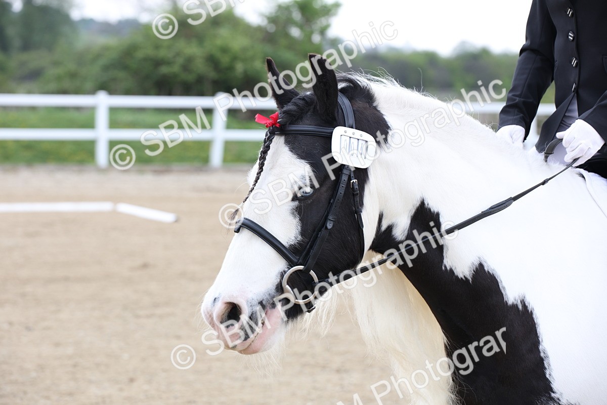 SBM_006333 - Class 1-3 - Intro 1 Lead Rein-Intro 4