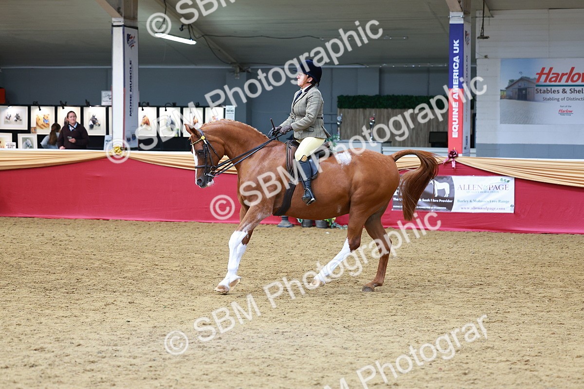 SBM_00805